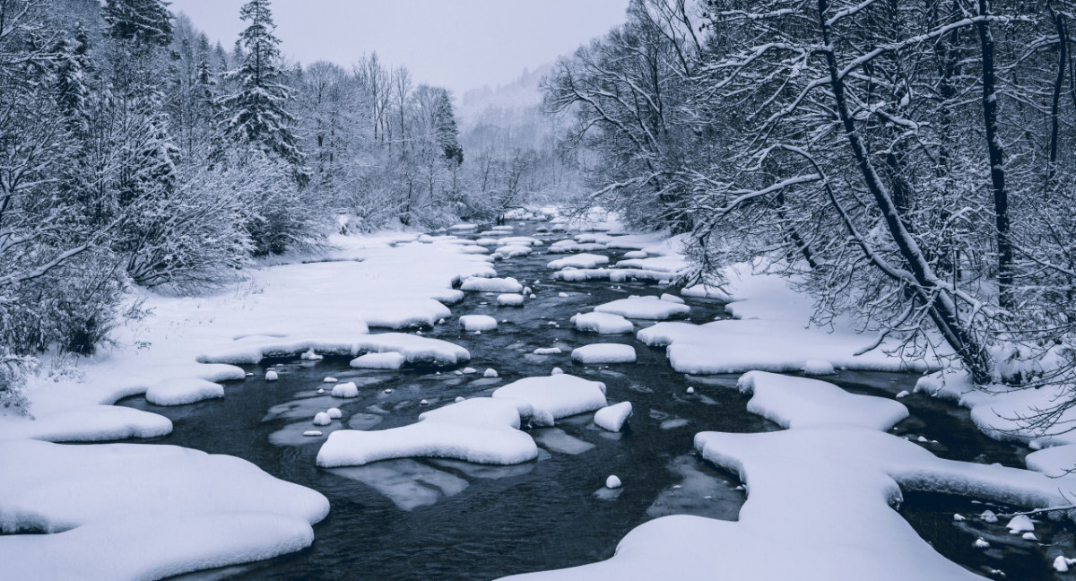 Polonia. Foto: Unsplash.