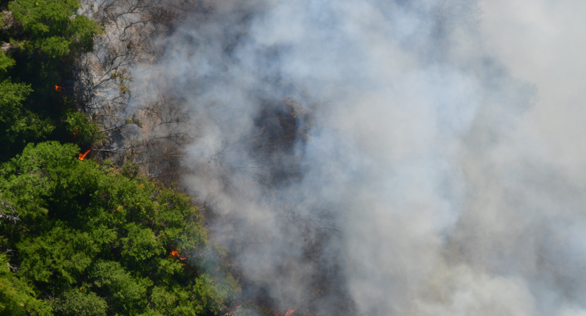 Incendio en parque Los Alerces. Foto: Télam