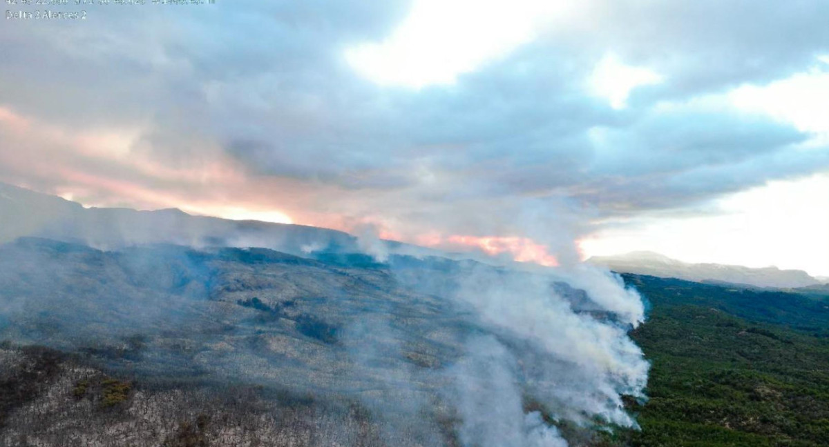 Incendio en parque Los Alerces. Foto: Télam