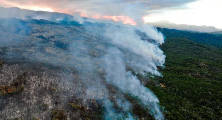 Incendio en parque Los Alerces. Foto: Télam