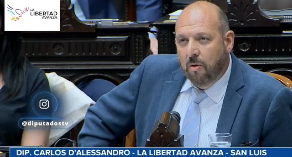 El diputado nacional por La Libertad Avanza (LLA), Carlos DAlessandro. Foto: captura video