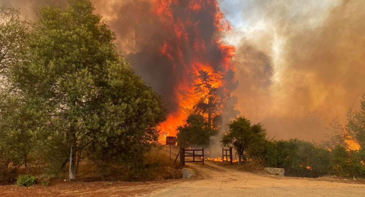 Incendios en Chile. Video: Reuters.