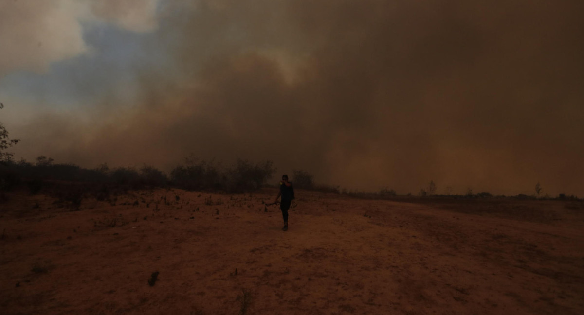 Incendios en Chile. Foto: Reuters.