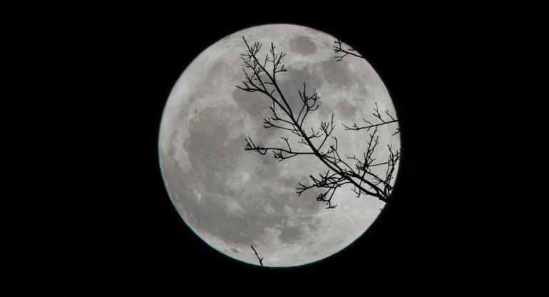 Luna, NASA, cuerpo celeste. Foto: Unsplash