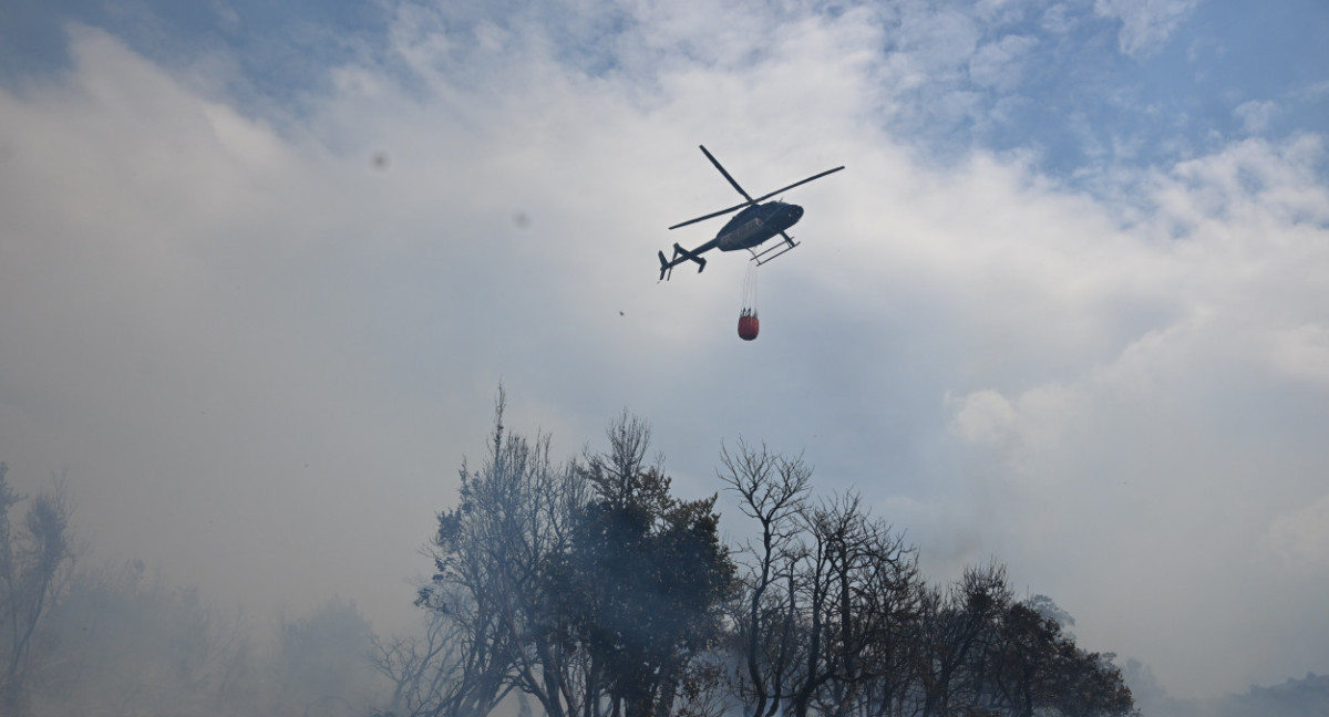 Incendio en Los Alerces. Foto: Télam