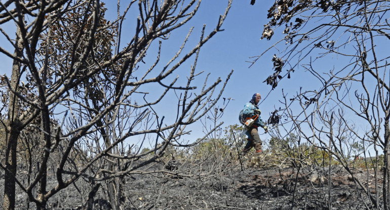 Incendios en Bogotá. Foto: EFE