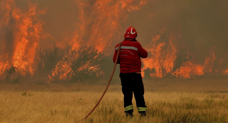 Incendio en el Parque Nacional Los Alerces. Foto: Télam.