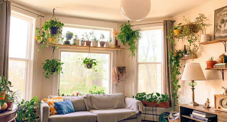 Plantas, hogar, casa. Foto Unsplash.