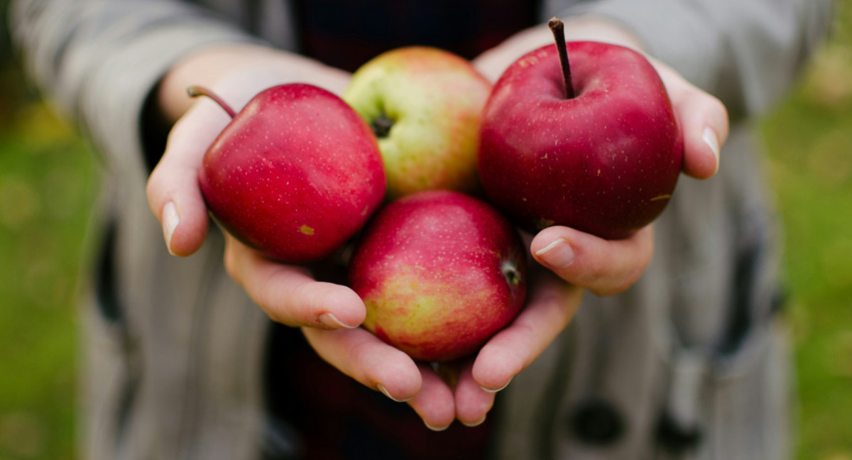 Manzana. Foto: Unsplash