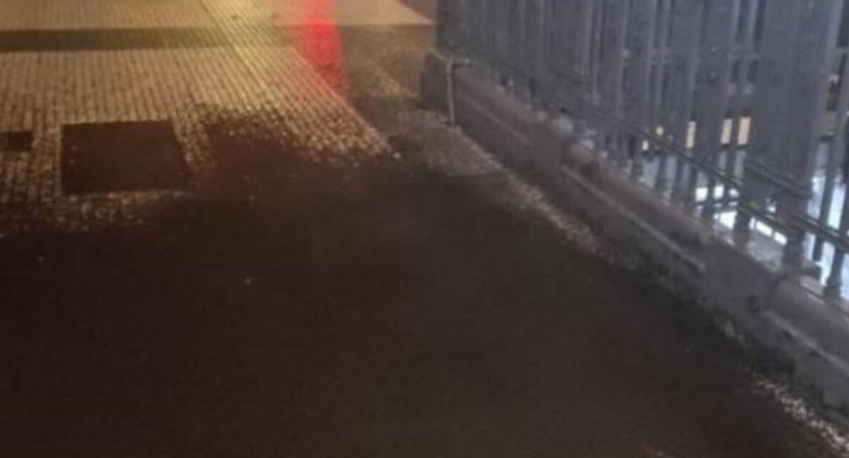 Plaga de mosquitos en el subte. Foto: redes sociales