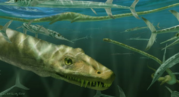 Representación del Dinocephalosaurus orientalis. Foto: Museo Natural de Escocia