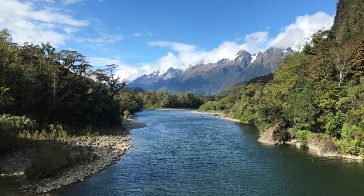 Río, ríos. Foto Unsplash.