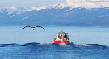 Canal Beagle, Ushuaia, Tierra del Fuego. Foto X.