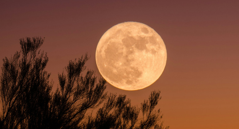 Luna llena. Foto: Unsplash