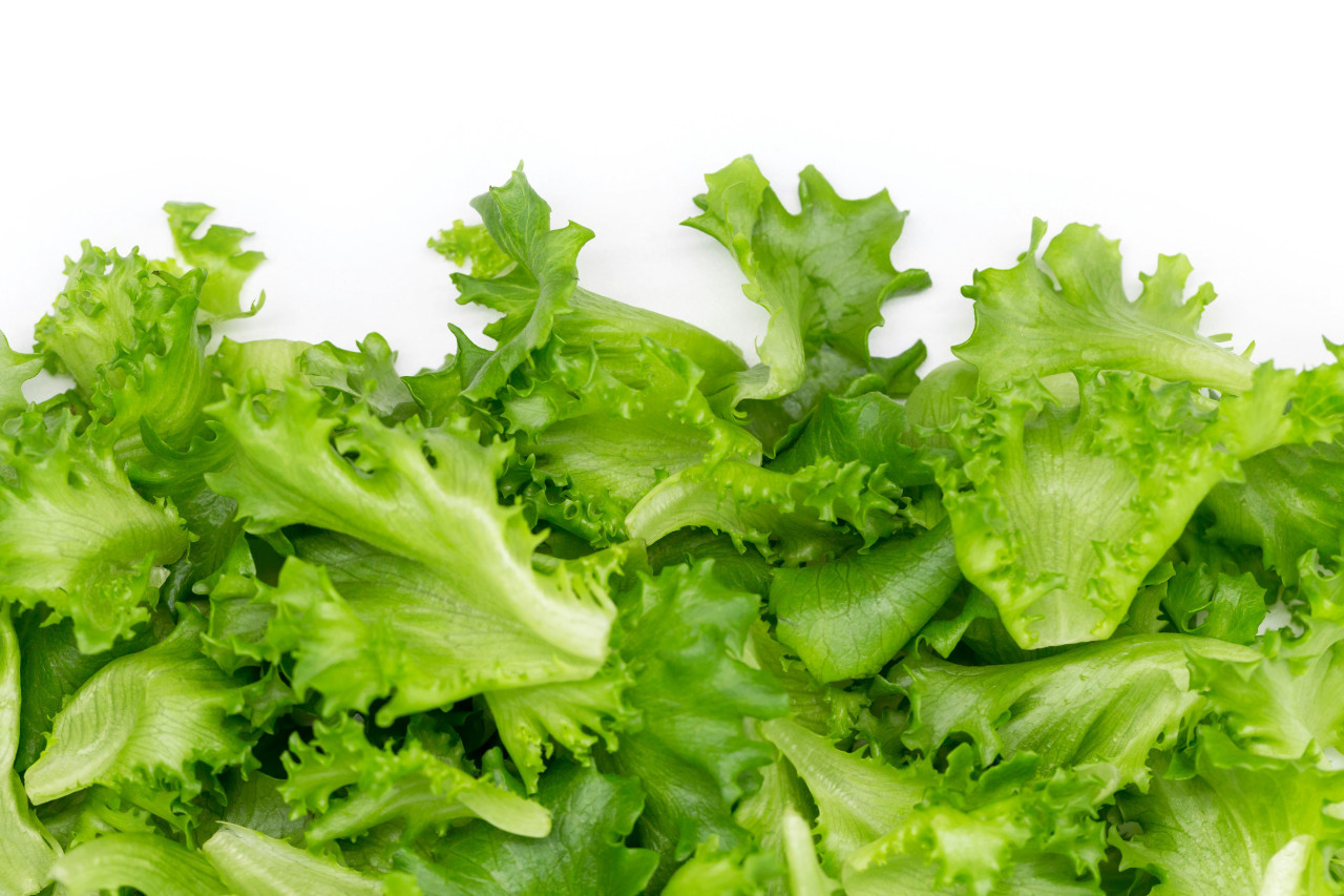 Lechuga. Foto: Unsplash.