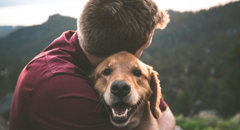 Perros, mascotas, dueños. Foto: Unsplash