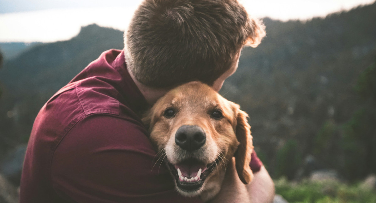 Perros, mascotas, dueños. Foto: Unsplash