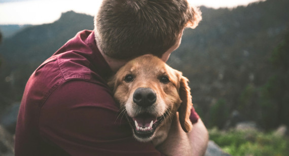 Perros, mascotas, dueños. Foto: Unsplash