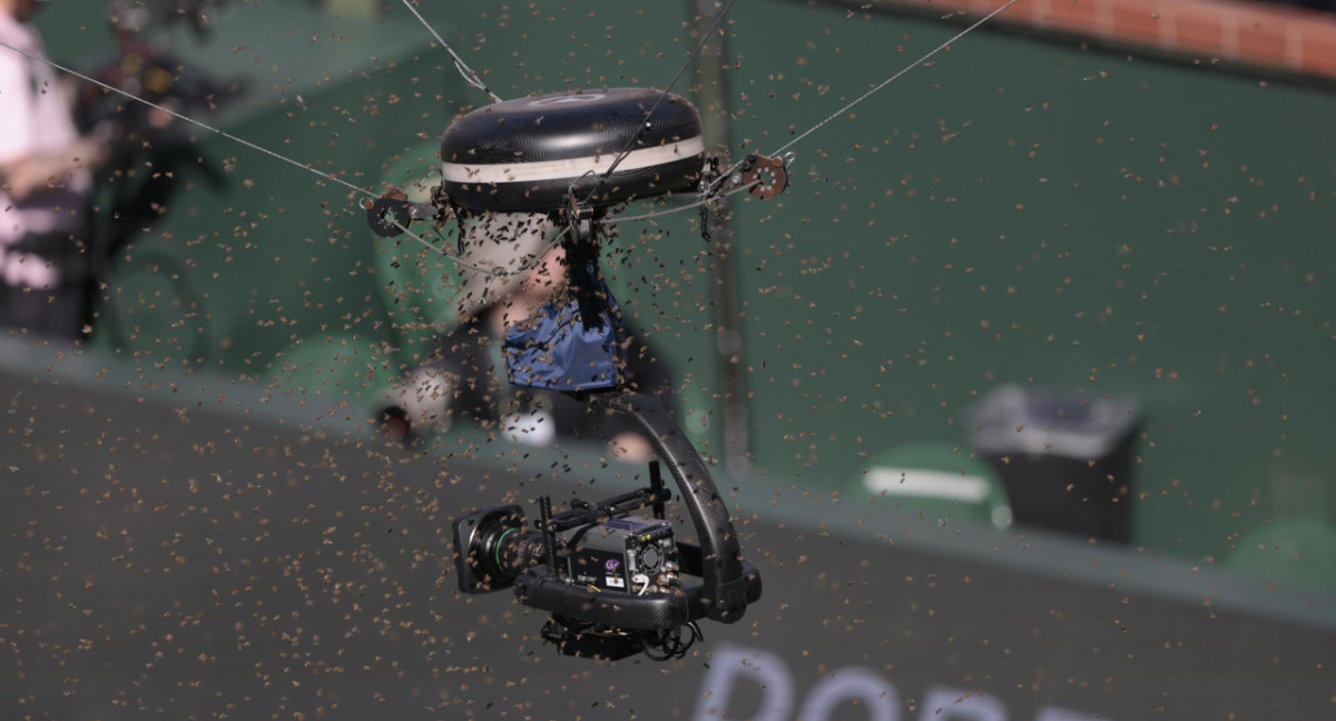 Invasión de abejas en Indian Wells. Foto: EFE.