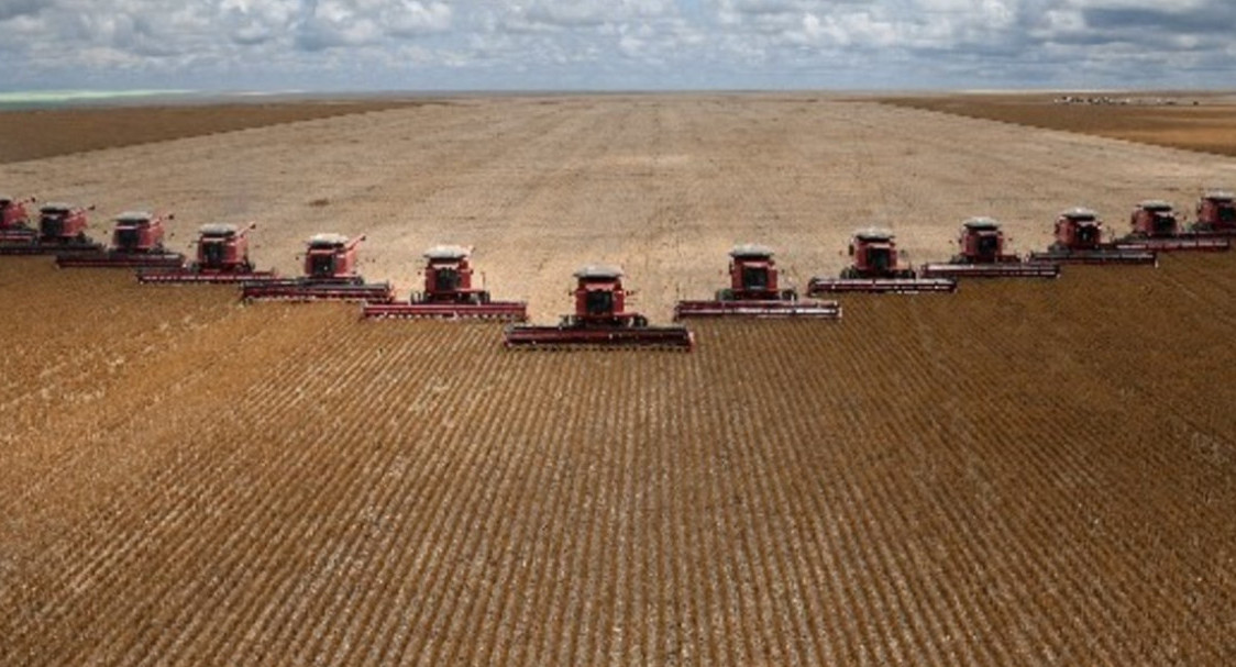 Cultivos en el Mato Grosso.