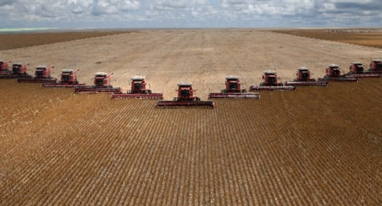 Cultivos en el Mato Grosso.