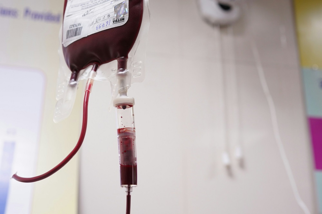 Donación de sangre. Foto: Unsplash.