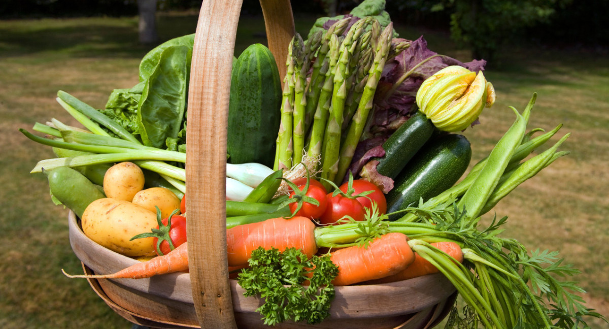 Verduras. Foto: Alamy, Reuters.