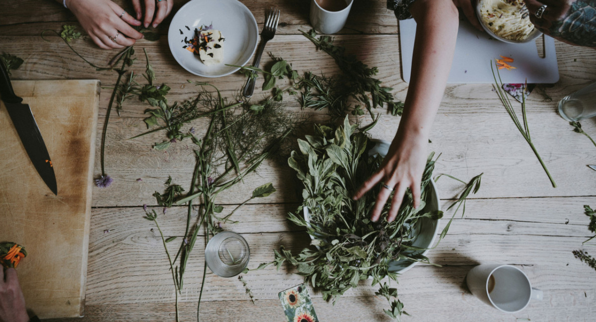 Hierbas medicinales. Foto: Unsplash