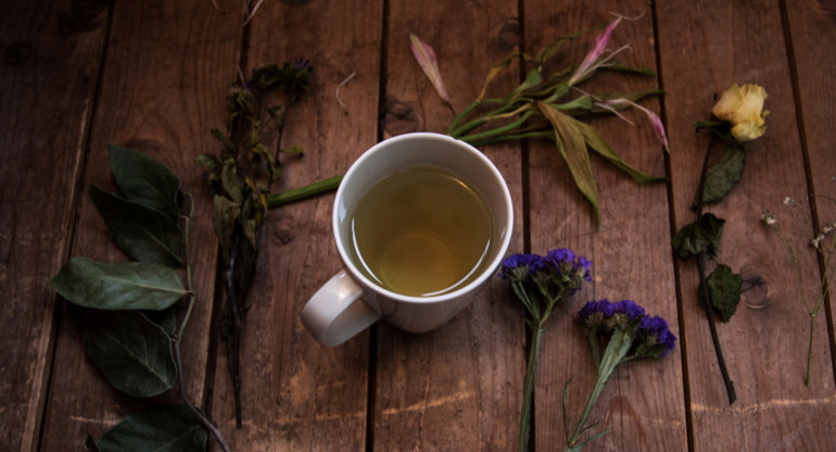 Té, infusión, plantas, hierbas, medicinal. Foto: Unsplash