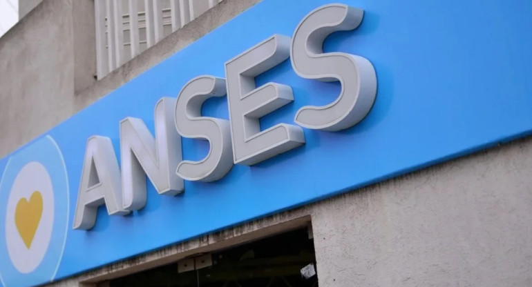 ANSES. Foto: NA