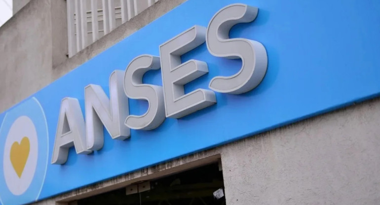 ANSES. Foto: NA