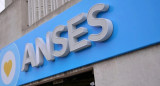 ANSES. Foto: NA