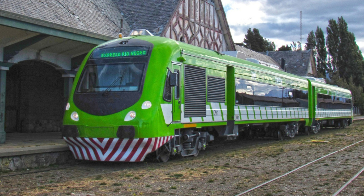 Tren Patagónico. Foto: Instagram/trenpatagonico.s.a.oficial