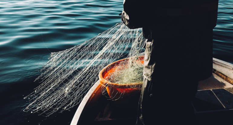 Pesca de arrastre. Foto: Unsplash.