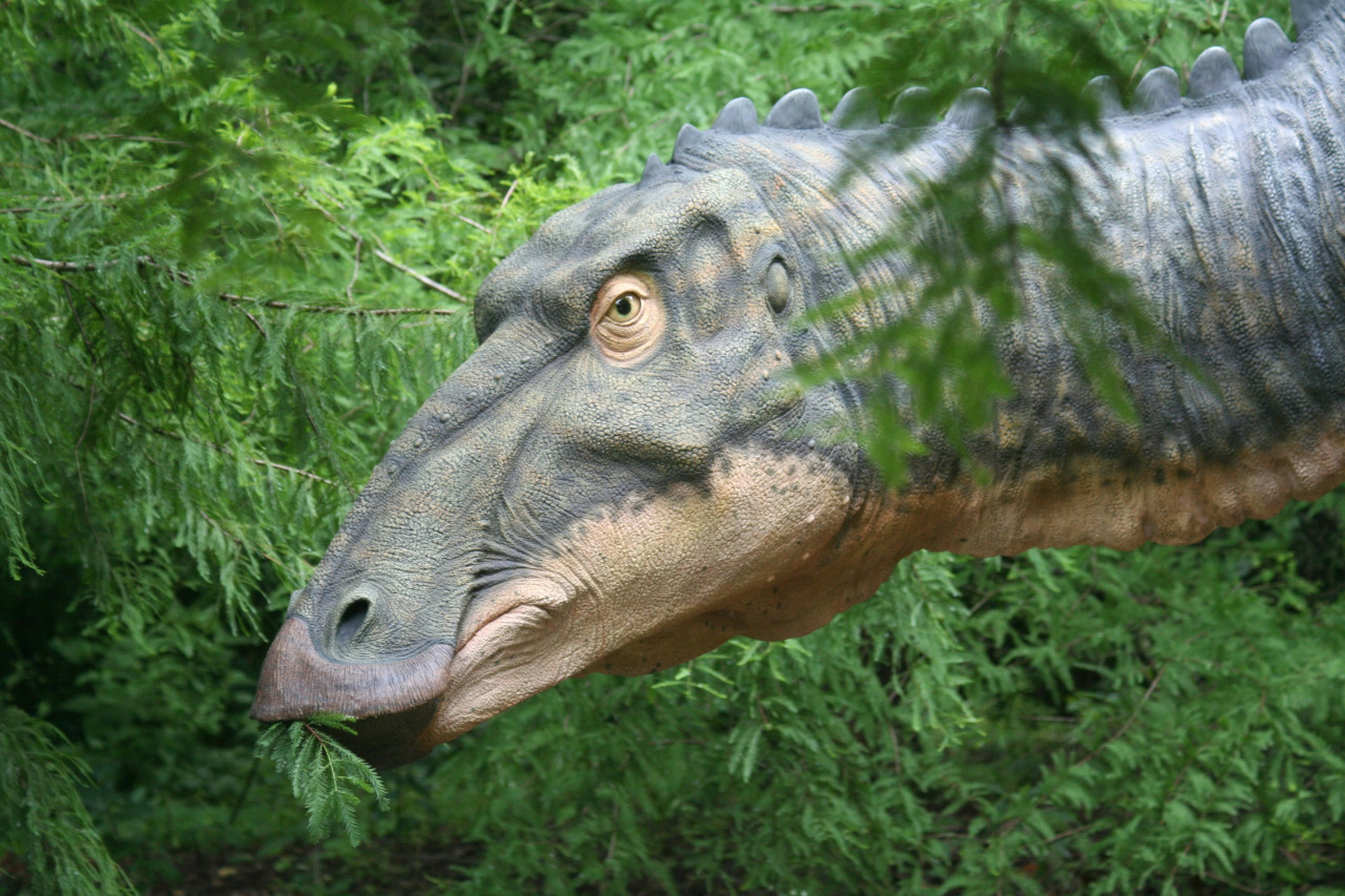 Dinosaurio. Foto: Unsplash