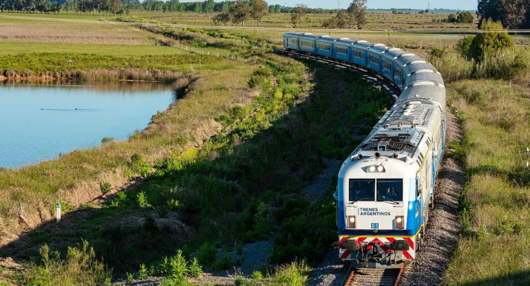 Trenes de larga distancia. Foto NA.