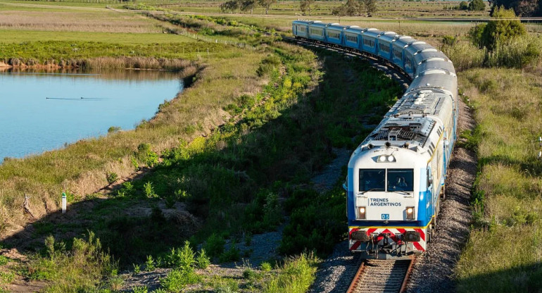 Trenes de larga distancia. Foto NA.