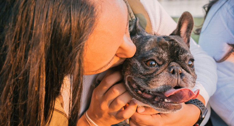 Perros. Foto: Unsplash