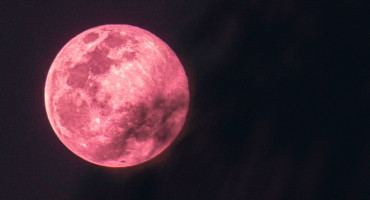 Luna rosa. Foto: Unsplash.