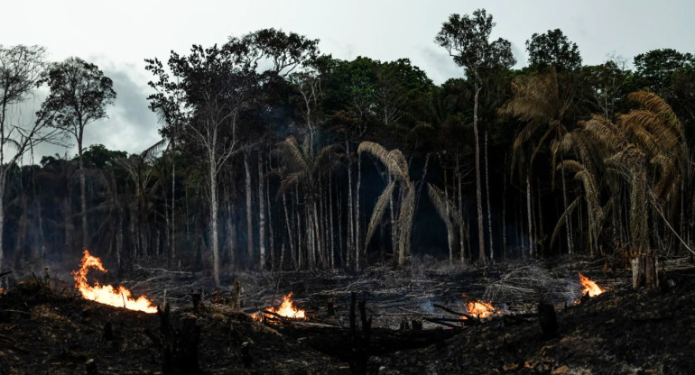 Amazonia. Foto: EFE