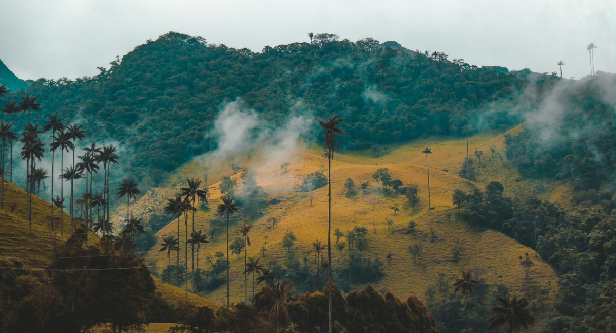 Colombia. Foto: Unsplash