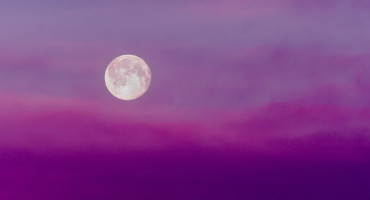 Luna Rosa. Foto: Unsplash