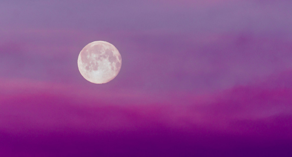 Luna Rosa. Foto: Unsplash