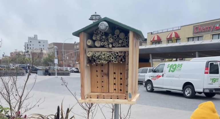 Hoteles y búnkeres para abejas en Nueva York. Foto: EFE.