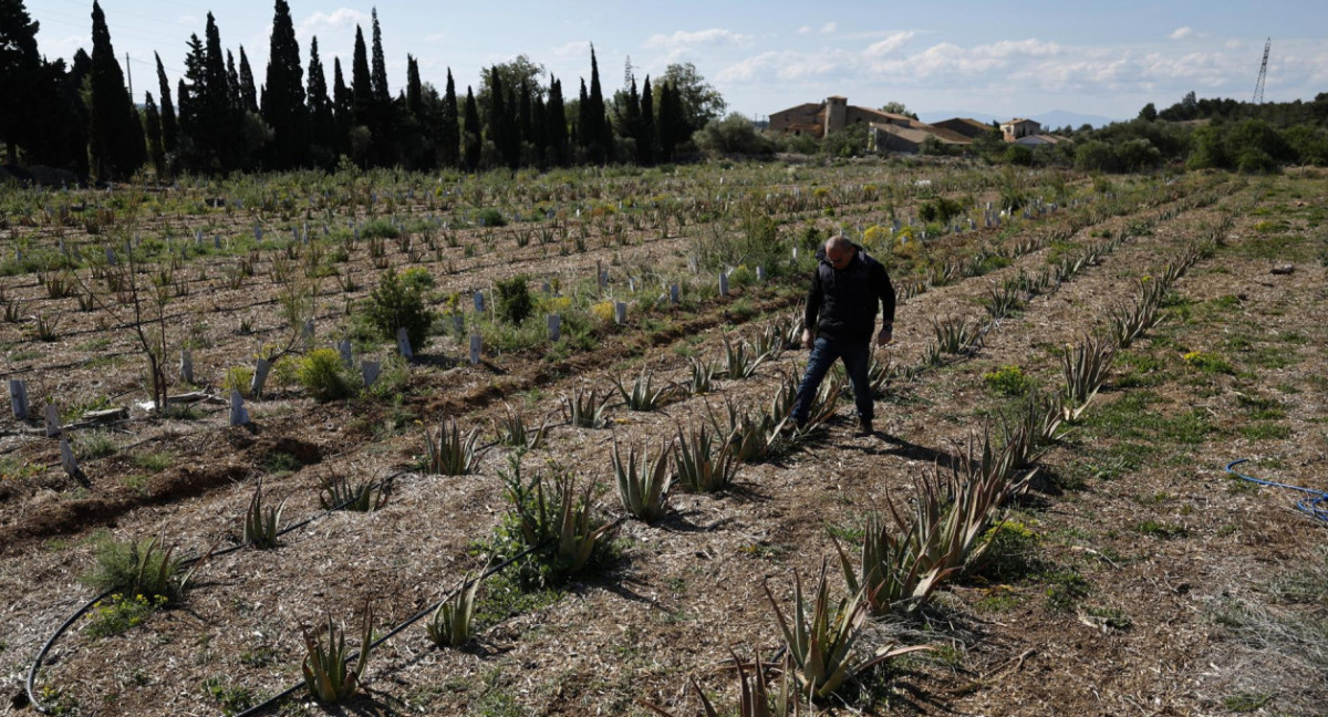 Sequía en Francia. Foto: EFE