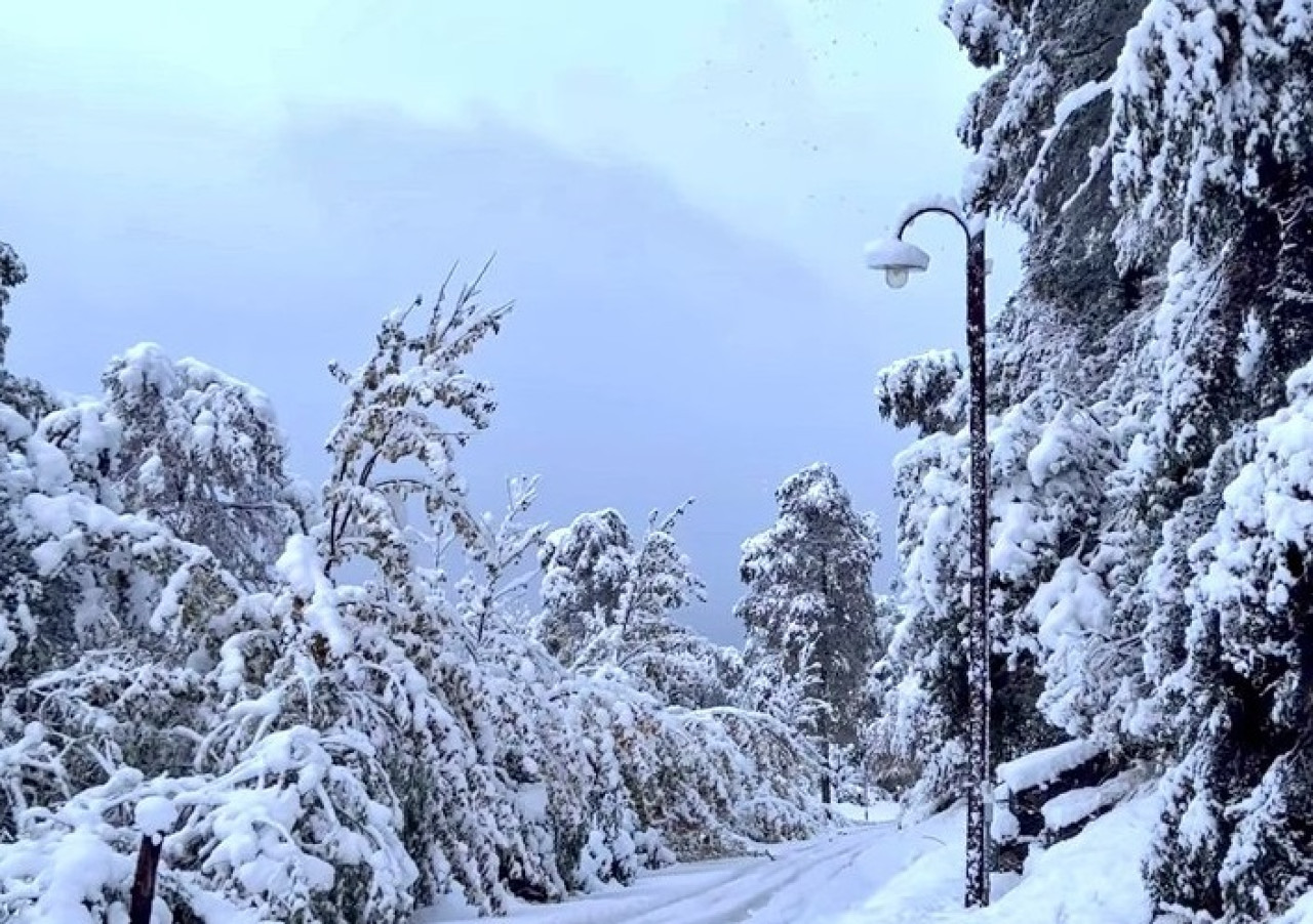 Nevada récord en la Patagonia. Foto: X @lfsur.