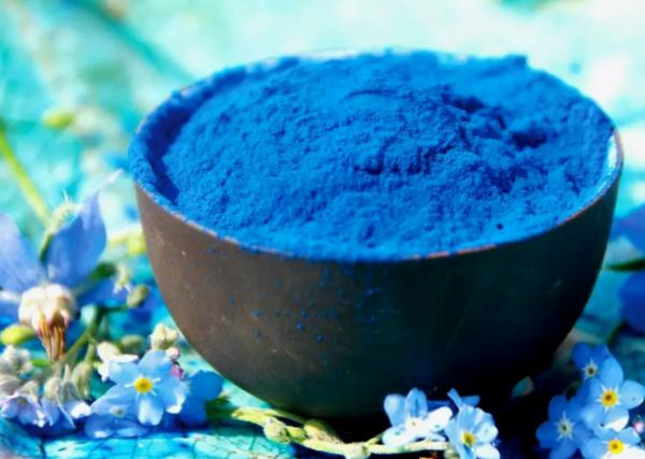 Espirulina azul. Foto: X