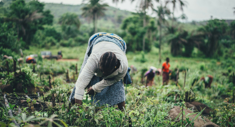 Agricultura en África. Foto: Unsplash.