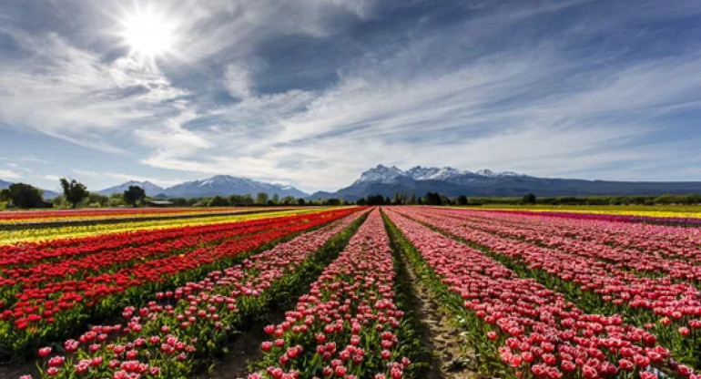 Trevelin, Chubut. Foto NA.