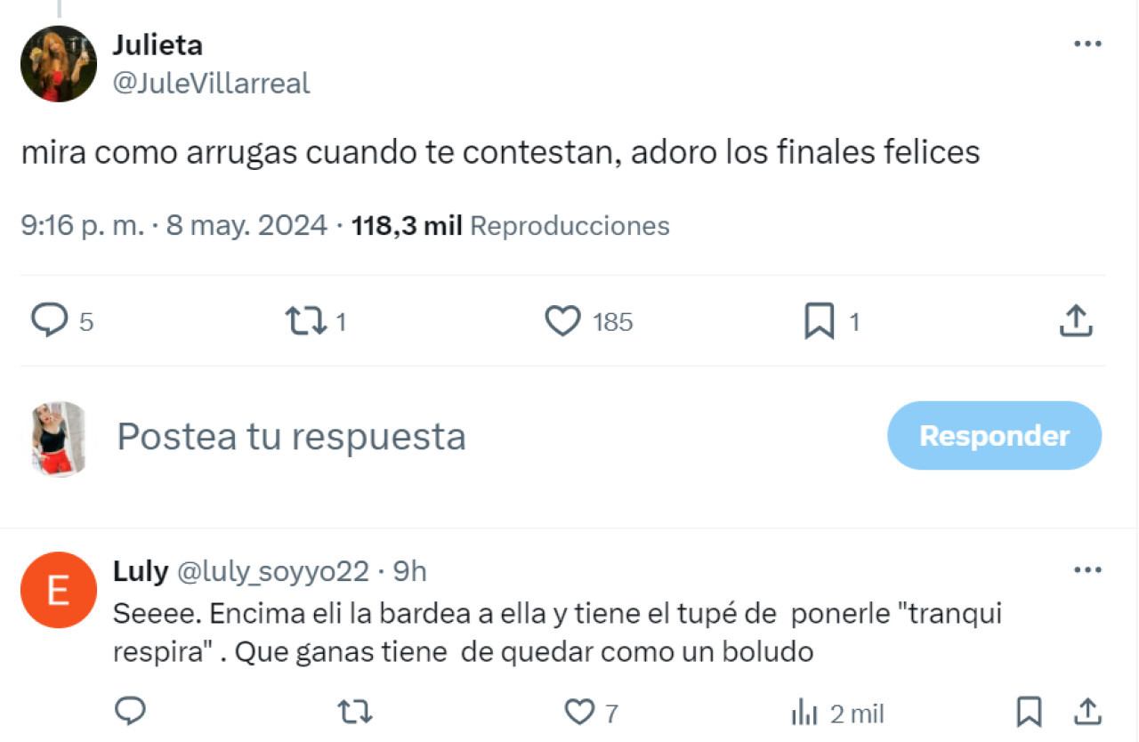 Los comentarios de los fans de Lali. Foto: X.